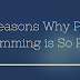 Top Reasons Why Python Programming is So Popular - ePythonGuru
