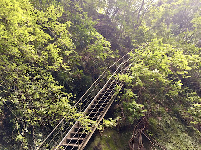 清和県民の森キャンプ場