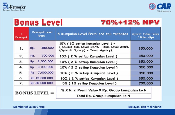 peluang bisnis  3i networks