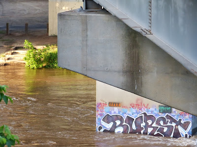 the Ripening, photo a day, graffiti, under the bridge