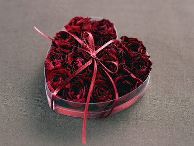 red valentines day roses by cool wallpapers at cool wallpapers and wallpaper