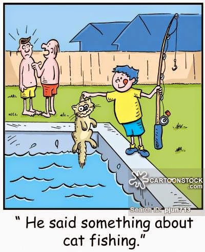 Fish Owner Cartoons