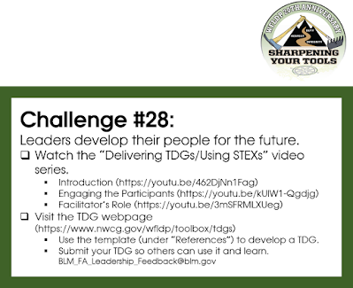 2021 WFLDP campaign/anniversary logo and challenge