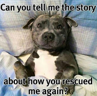 Can you tell me the story about how you rescued me again?