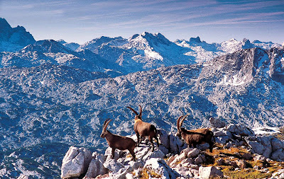 Berchtesgaden national park