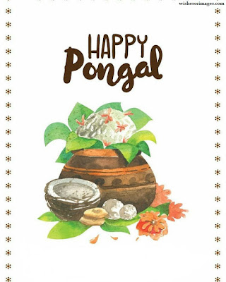 Greetings For Pongal