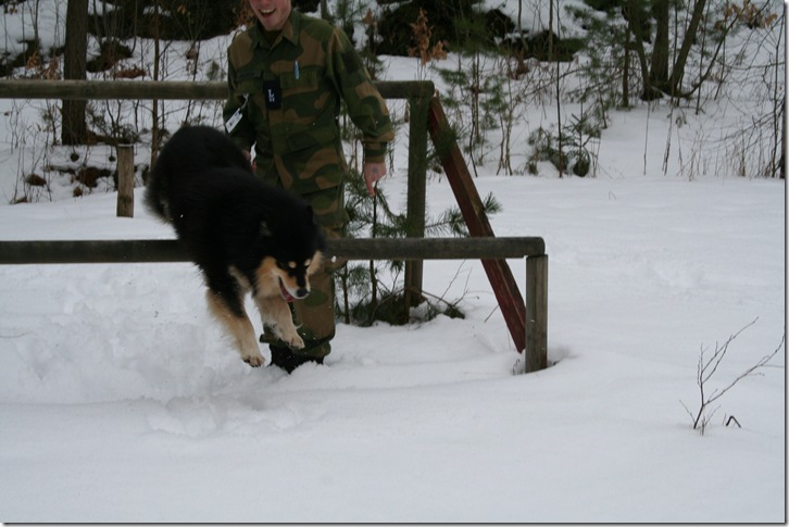 trening 069
