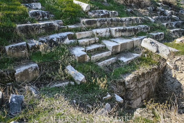 Detalle de un sector de los graderíos