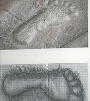 Pegada humana Bolivia human footprint