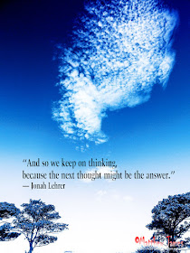 'And so we keep on thinking, because the next thought might be the answer' - Jonah Lehrer