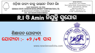 Odisha RI And Amin Recruitment 2023