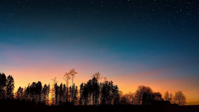 Papel de Parede Noite Estrelada, Céu, Árvores, Pôr Do Sol, Floresta