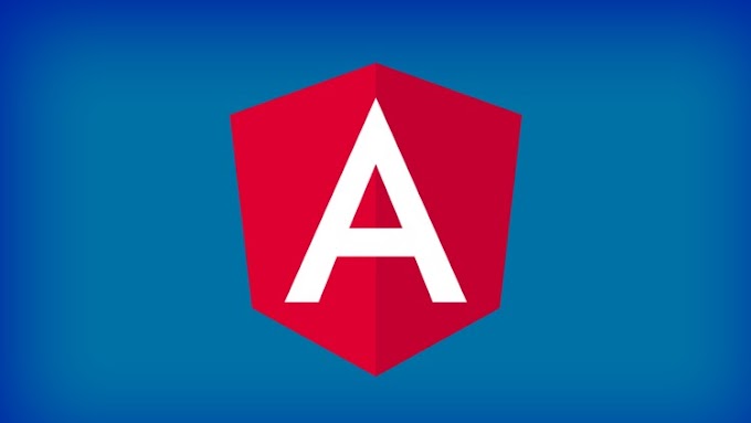 Angular PRO Course : ADVANCED SINGLE PAGE APPLICATIONS [Free Course]