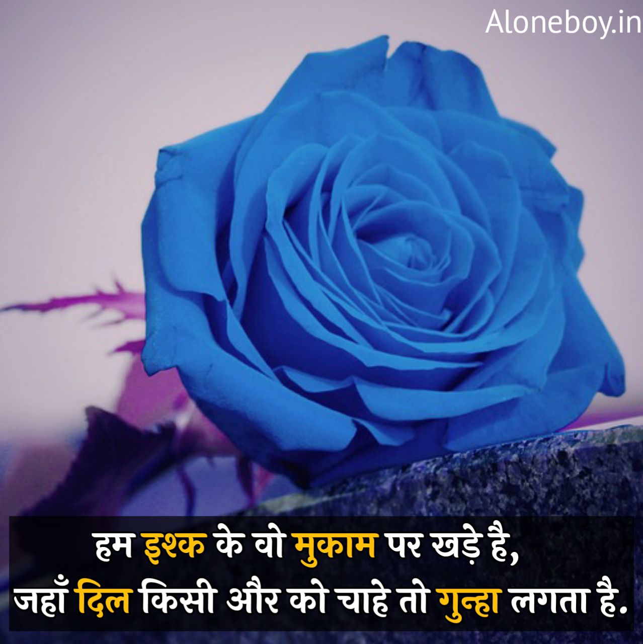 true love shayari hindi me