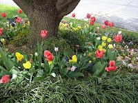 a memorial to those who have had a baby die through miscarriage, stillbirth or newborn death