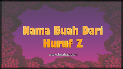 Nama Buah  Dari Huruf Z www buahaz com