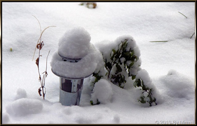 snow