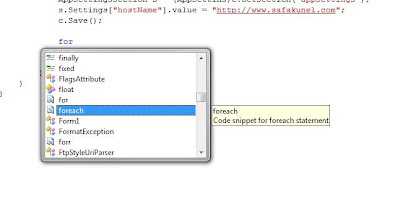 C# Code Snippets,C# Code Snippet,C# Code Snippets kullanımı,C# Code Snippets yaratma,code snippet,code snippets
