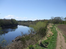 River Tyne: Newburn to Wylam