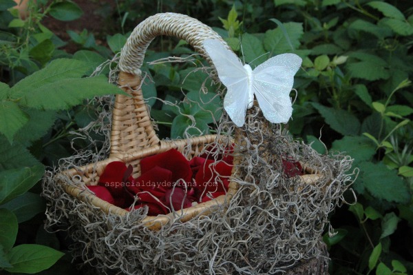  basket with elegant rustic twine ivory butterfly and grey taupe moss