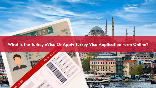 Turkey visa application form