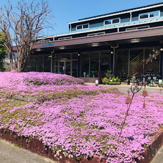 ロハスプラザ　タイムの絨毯