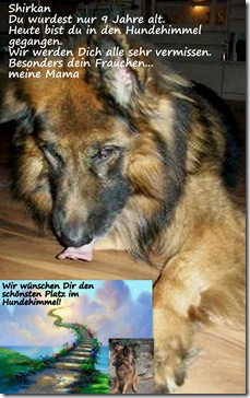 Shirkan