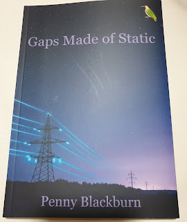 Gaps Made of Static by Penny Blackburn - Book cover