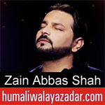 https://www.humaliwalayazadar.com/2019/09/zain-abbas-shah-nohay-2020.html
