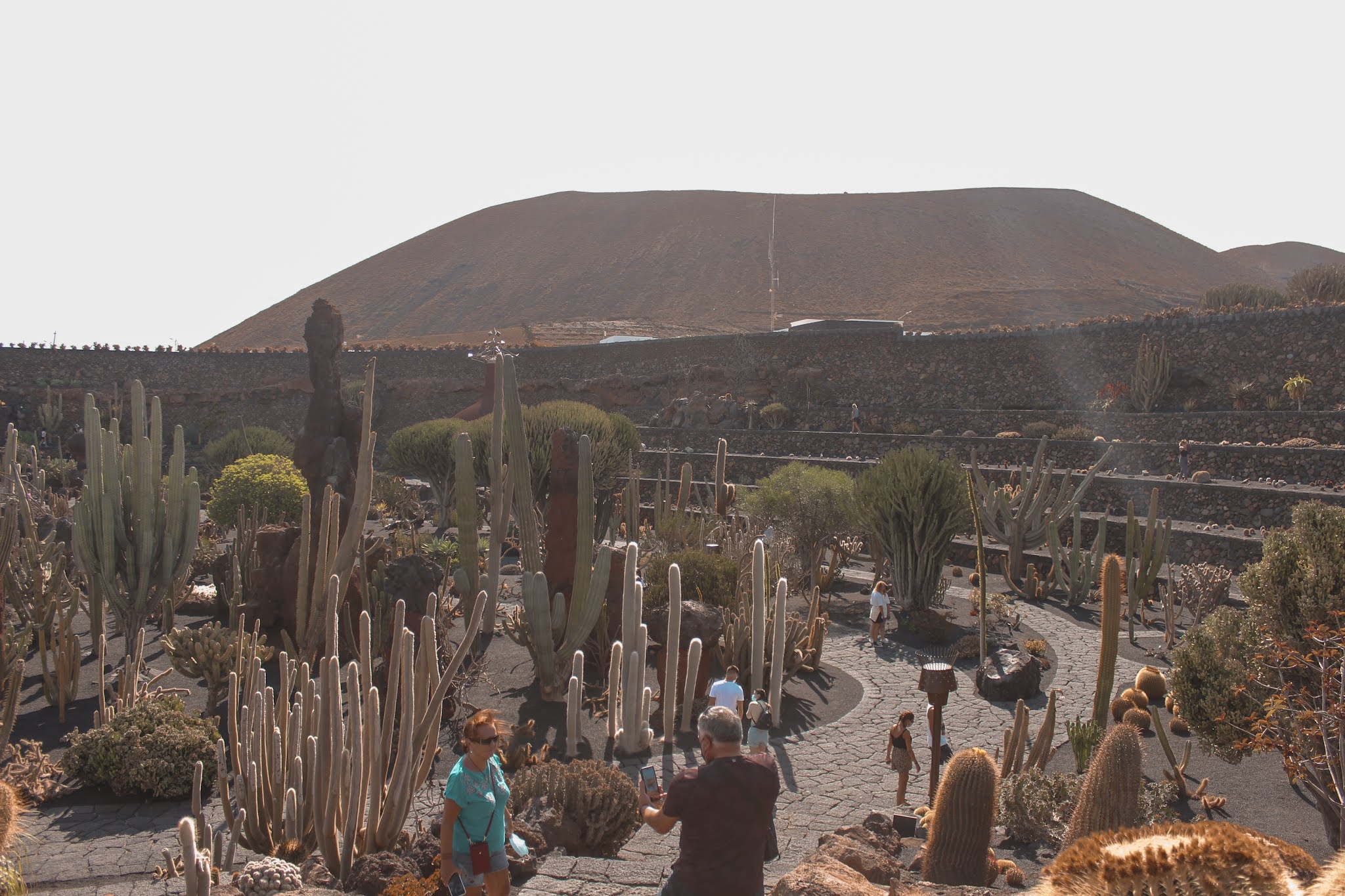 que-ver-lanzarote-jardín-de-cactus-cesar-manrique