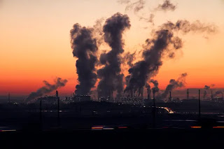 world environment day 2020 quotes, wishes, images, save earth quotes