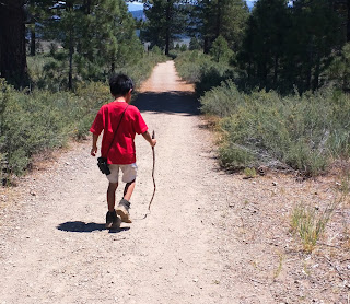 Back side of a young boy walking on a path with a walking stick