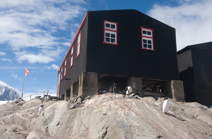 port-lockroy (7)