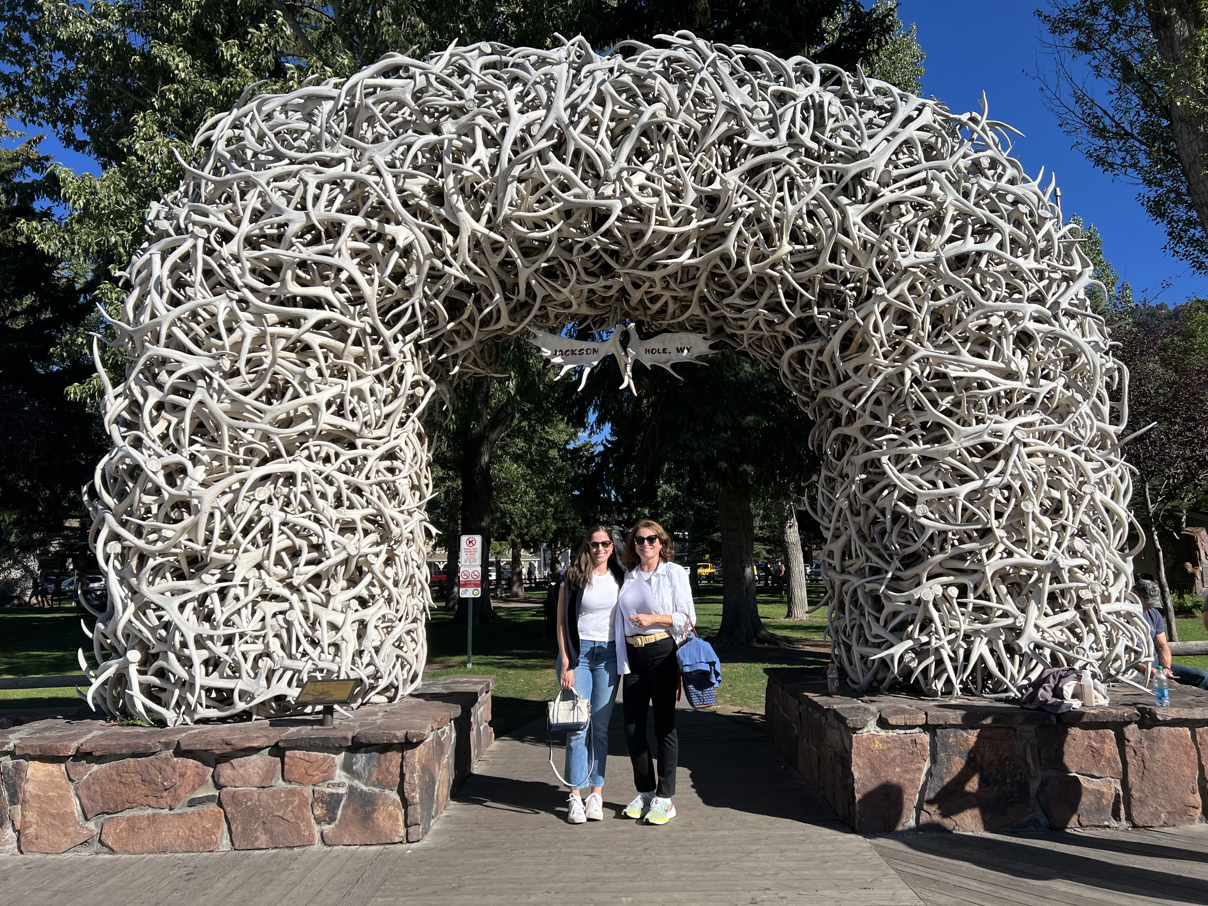 jackson hole wyoming, wyoming, jackson wyoming, jackson hole travel guide, jackson wyoming travel guide