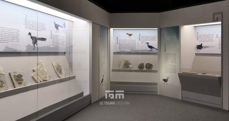 窺探世界級的古生物化石寶庫-熱河生物群特展,Le Tsuan design & interior deco,展覽,麗荃室內裝修
