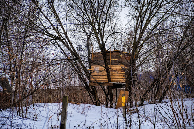 Конструкция из дерева на дереве