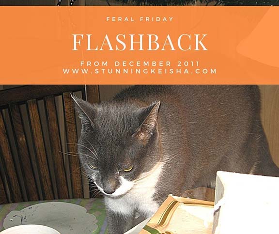 Feral Friday Funny Flashback