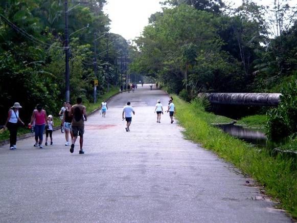 Parque Estadual do Utinga , Belém do Parà, foto: Odilson Sà