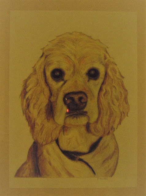 prismacolor cockerspaniel