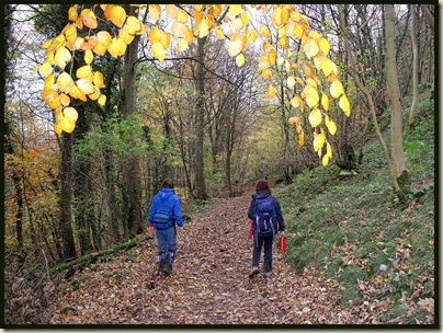 Approaching Cressbrook in fading light