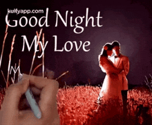 Romantic Good Night  Gif Images | Beautiful Good Night Gif