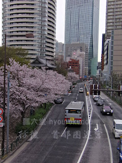 角の歩道橋から西新橋方を望む