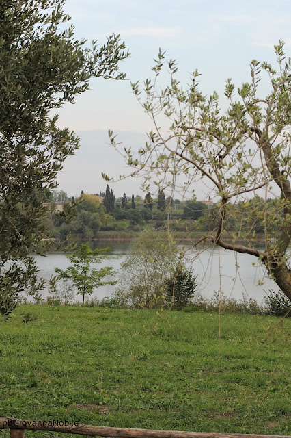 Cartoline dalla campagna