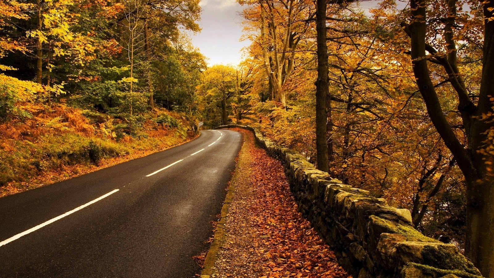 foto jalan dengan pemandangan musim gugur