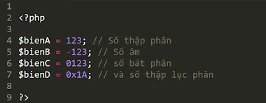 [PHP Bài 3] Tìm hiểu các kiểu dữ liệu trong php