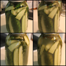 Homemade sour pickles in jar