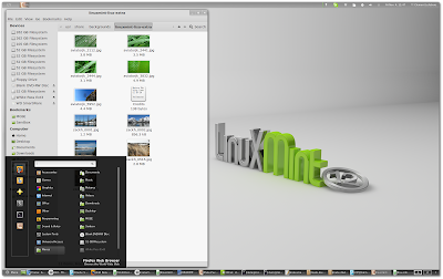 Linux Mint 12 GNOME Shell