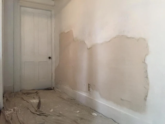 Plaster Repair