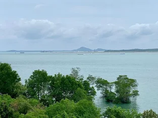 Chek Jawa Jejawi Tower at Pulau Ubin