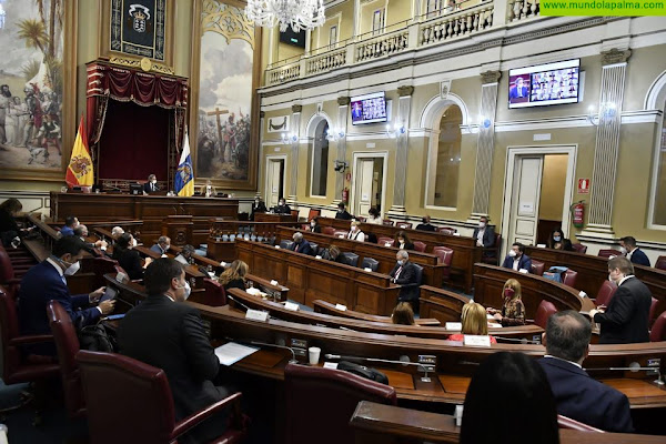 El PSOE lleva a Pleno la bonificación del transporte en las islas y la mejora en la atención a la dependencia